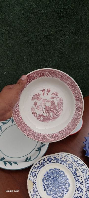 Platos y platos decorativos en venta - imagen 2