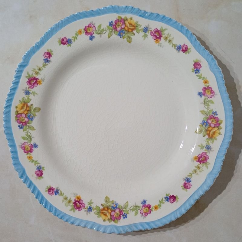 Plato de Porcelana INGLESA Woods Ivory Ware - imagen 2