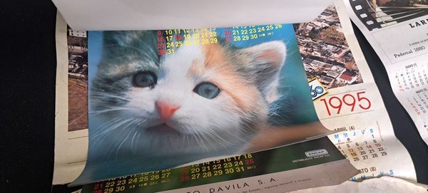Calendarios de FUNSA y ANCAP (Animales) - imagen 2