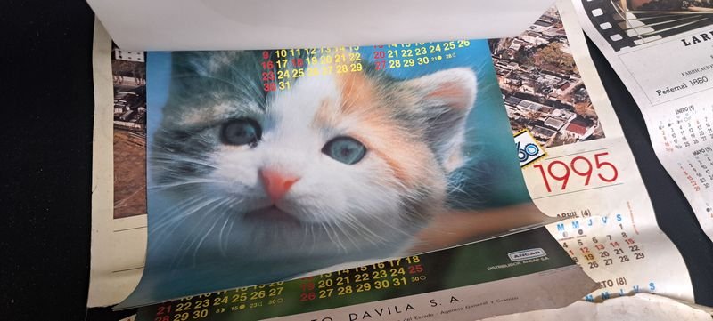 Calendarios de FUNSA y ANCAP (Animales) - imagen 2