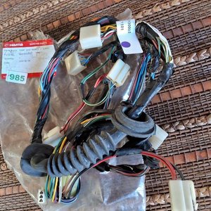 Arnés de cables puerta delantera izquierda Haima - imagen 2