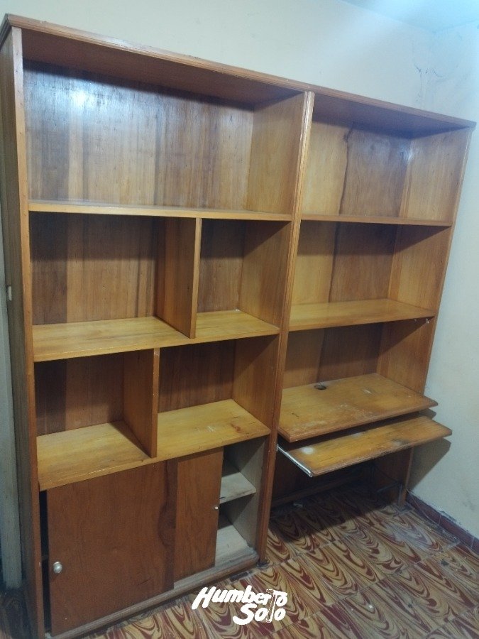Gran biblioteca, buena madera
