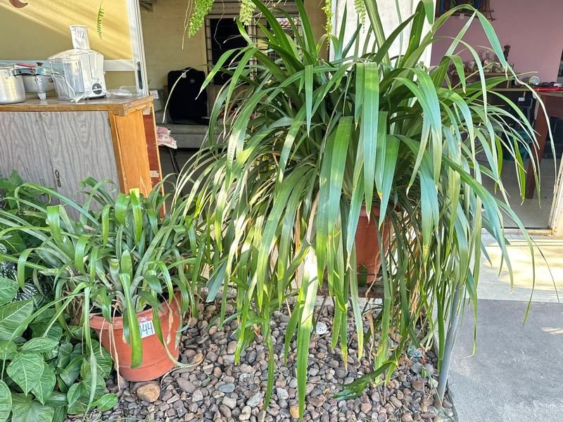 Item 892400 - Image 1