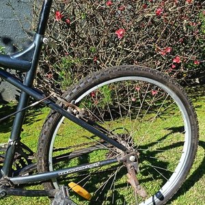 Bicicleta Baccio Alpin Man mountain bike rodado 26 - imagen 7