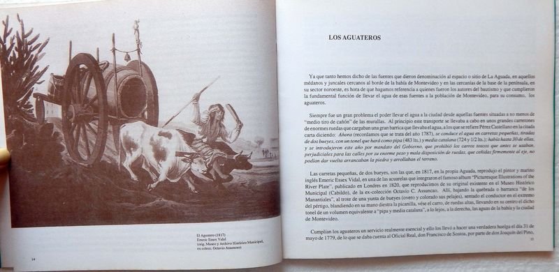 Item 853791 - Image 3