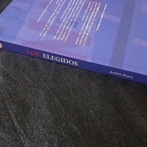 Libro "Los Elegidos": Los 100 futbolistas más trascendentes de la historia de Nacional - imagen 2