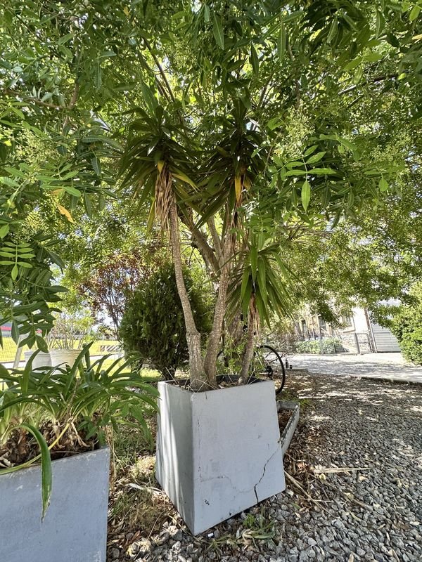 Item 904352 - Image 2