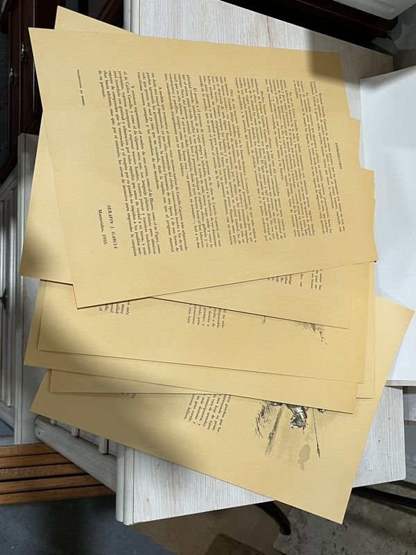 Item 853322 - Image 2