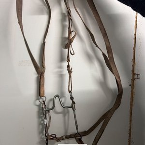 Freno y Cabezada de Cuero para Caballos - imagen 1