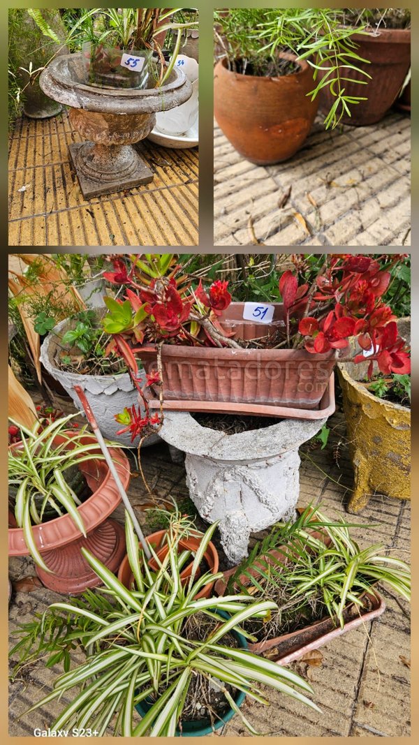 Lote de Macetas y Bases de Piedra y Barro