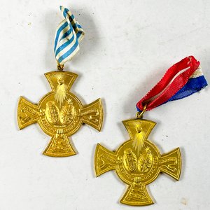 Par de Medallas de la Excelencia Doradas con Cintas Tricolores - imagen 2