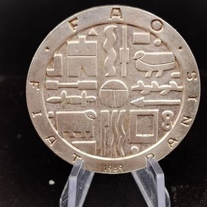 Medalla Conmemorativa FAOSIN 1969 - imagen 2