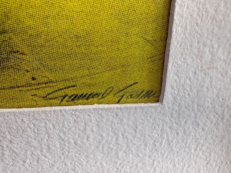 Item 898144 - Image 0