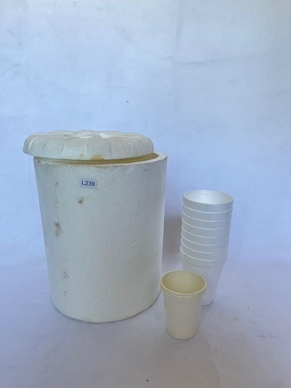 Lote anterior: Conservadora de Espuma Plástica con Tapa y Vasos