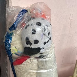 Lote siguiente: Peluches pelotas y más 