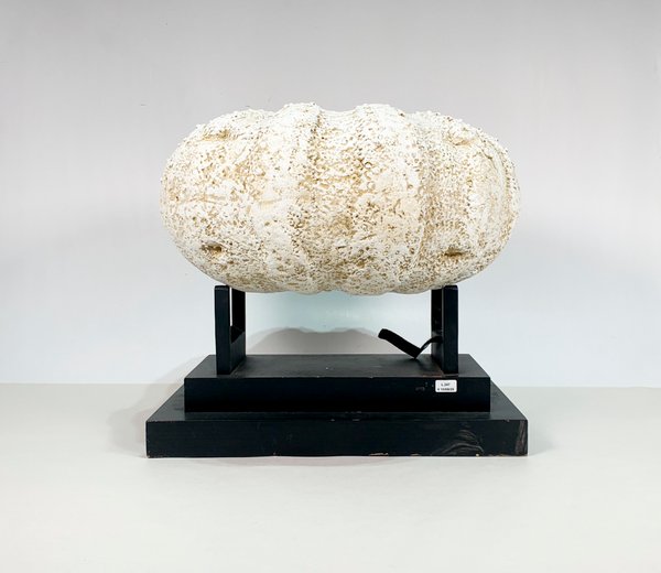 Lote anterior: Adorno en yeso con calabaza blanca