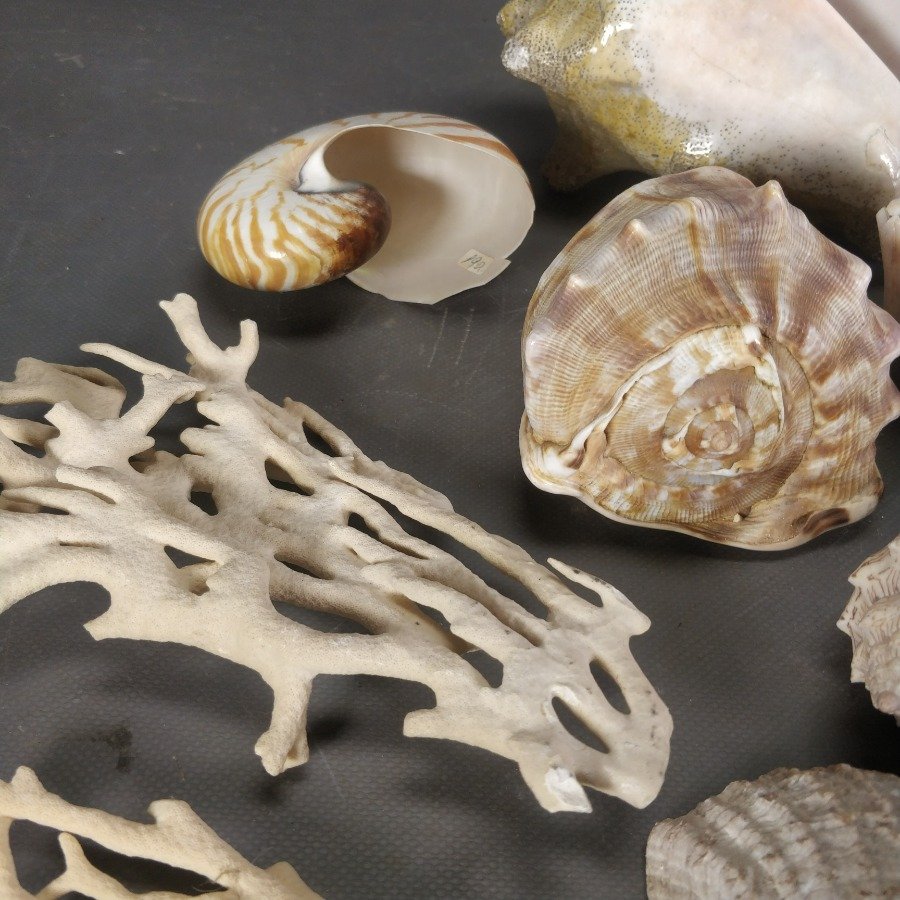 Item 15838 - Image 3