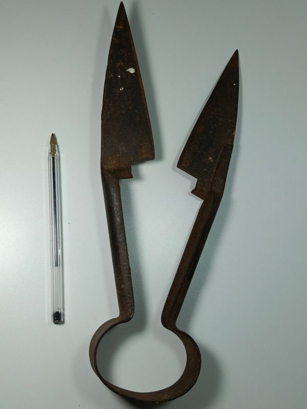 Tijera de esquilar ovejas antigua con hoja de 13cm - imagen 2