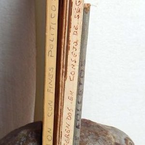 Lote de 4 Libros: La Unificación Colorada, Dios Ante La Razón, Extradición Con Fines Políticos y Controversias Internacionales - imagen 3