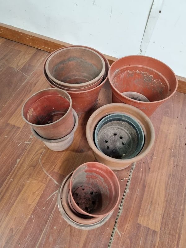 Item 865915 - Image 2