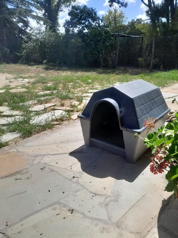 Item 901621 - Image 0