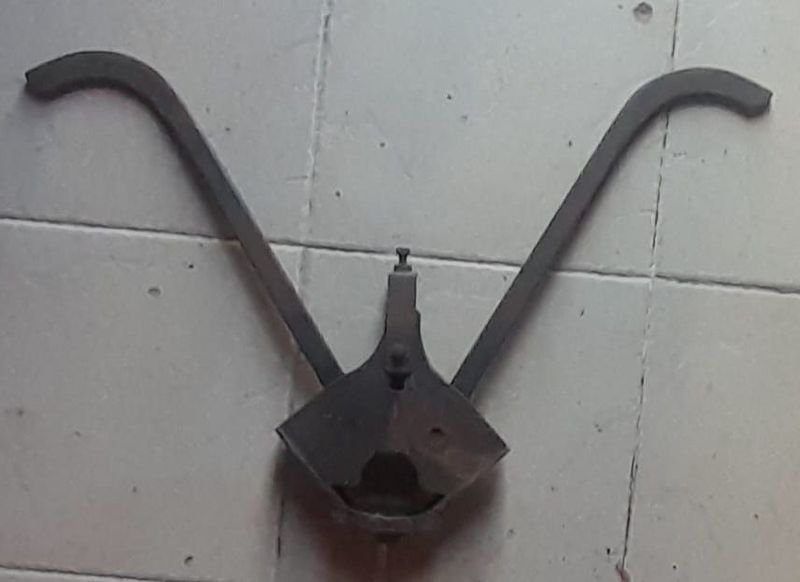 Antiguo Desmochador para la venta - imagen 2