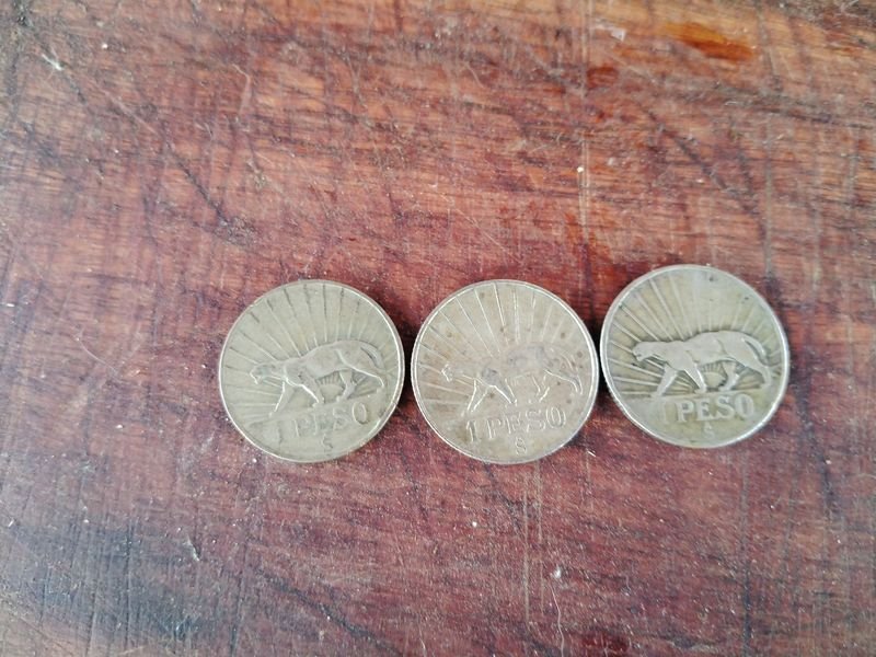 Item 845013 - Image 1