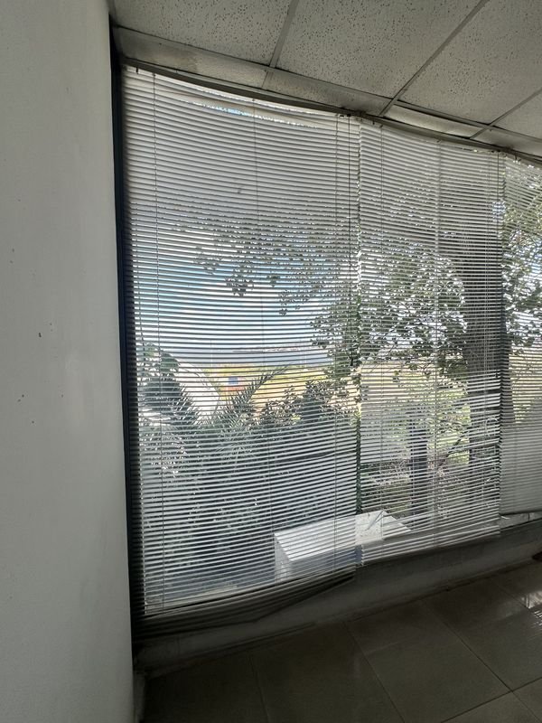 CORTINAS - imagen 4