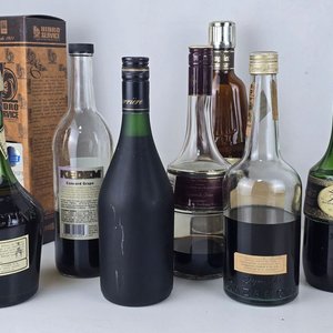 Lote de Botellas de Bebidas Alcohólicas Variadas: Empezadas y Vacías - imagen 8