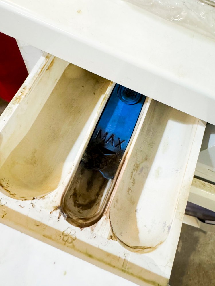 Item 491226 - Image 2