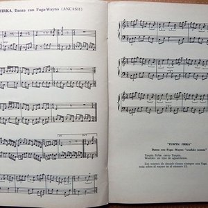 Dos Libros: Panorama De La Música Tradicional Del Perú y Suplemento Ilustrativo - imagen 2