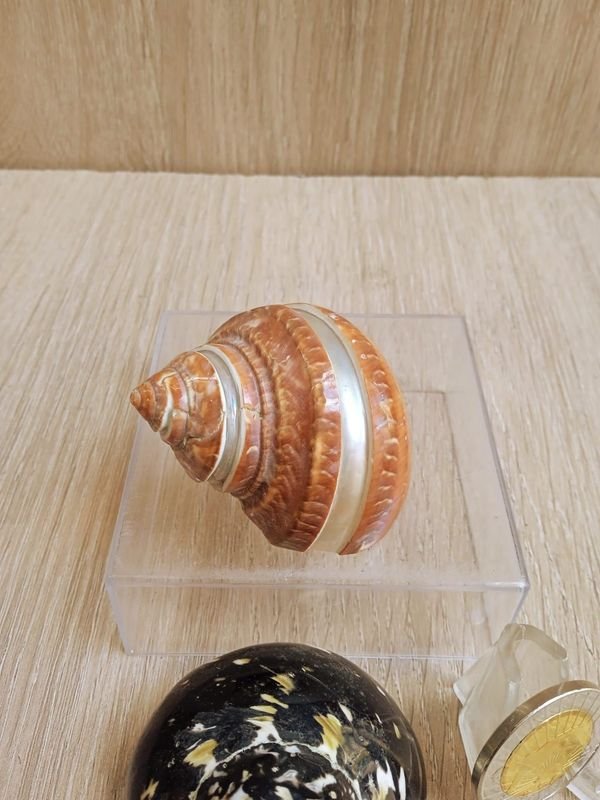 Item 884178 - Image 0