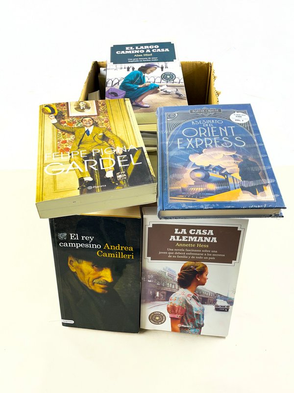 Lote de Diecinueve Libros Variados - imagen 1