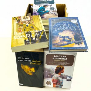 Lote siguiente: Lote de Diecinueve Libros Variados