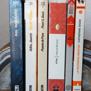 Lote de 6 Novelas Clásicas de Harold Robbins, Pearl S. Buck y más - imagen 3