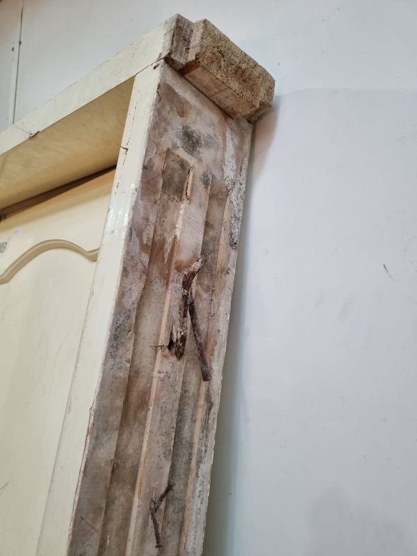 Item 862783 - Image 3