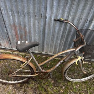 Lote siguiente: Bicicleta "Jazz" Gris con Canasta