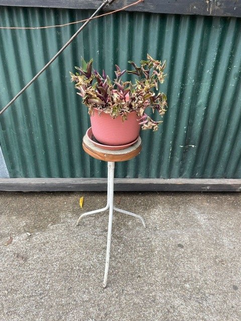 Lote anterior: Pequeño pedestal para plantas en buen estado