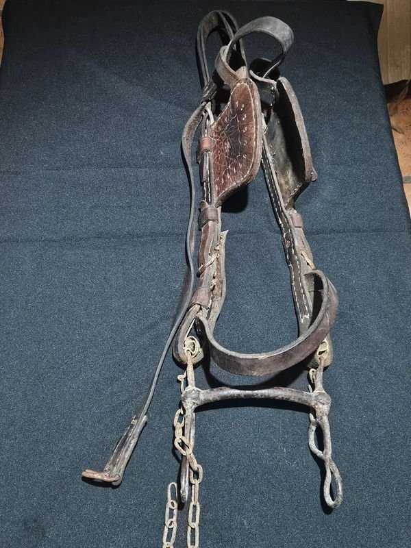 Freno de Caballo Antiguo Completo de Cuero y Metal