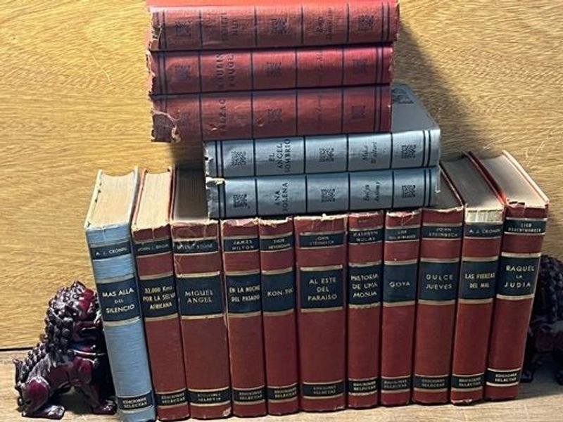 Lote anterior: Colección de libros de literatura universal y clásicos en tapa dura