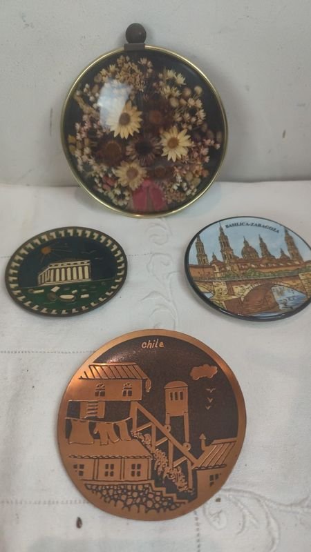Colección de Souvenils y Cuadros de Flores Secas - imagen 1
