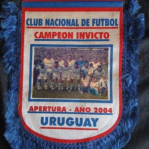 Lote anterior: Banderín Club Nacional de Football "Campeón Invicto Apertura 2004"