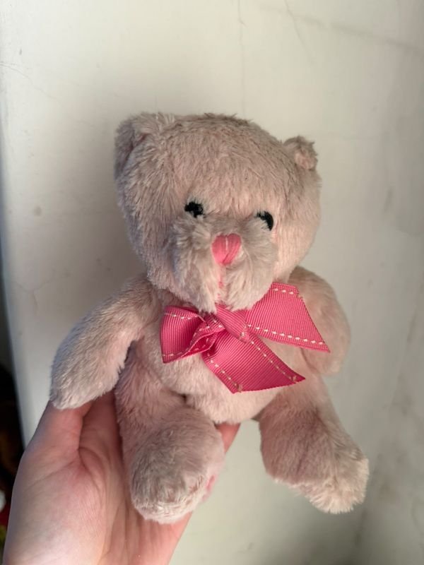 Oso de Peluche Rosa con Lazo Rosa