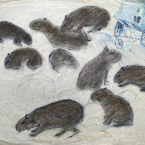 Dibujo "Carpinchos" de José Cuneo, Pastel sobre Papel - imagen 1