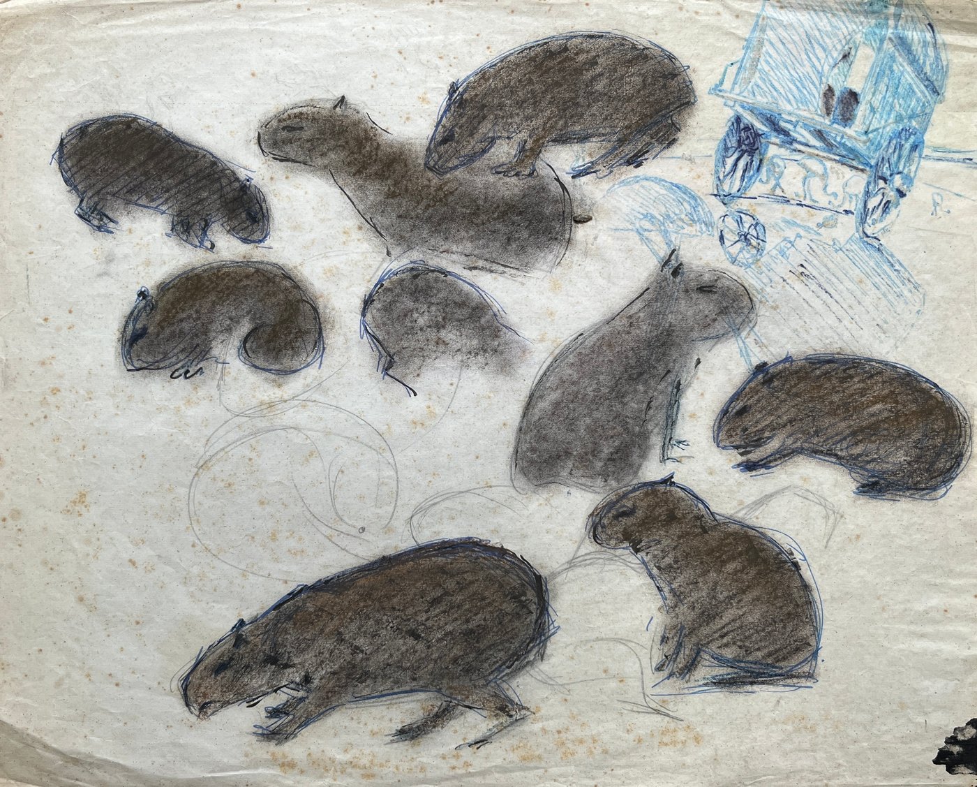 Dibujo "Carpinchos" de José Cuneo, Pastel sobre Papel