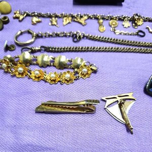 Lote de Prendedores, Pulseras y Dijes Variados - imagen 3