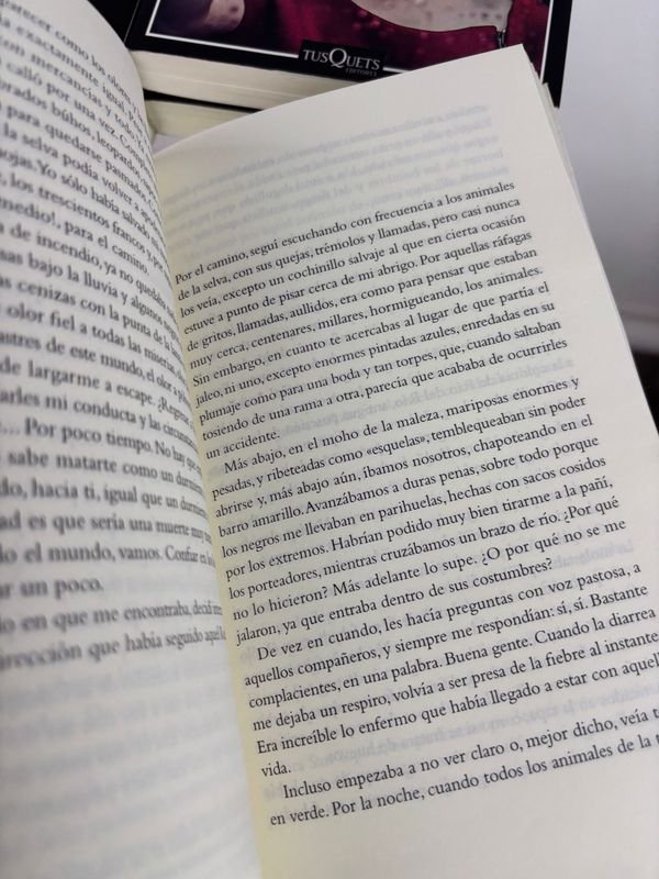 Colección de libros de narrativa contemporánea y clásicos modernos - imagen 10