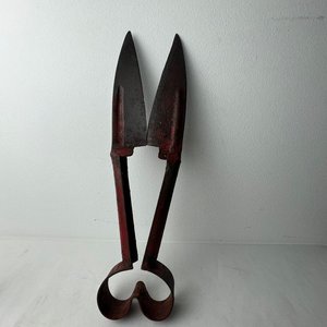 Lote siguiente: Tijera de Tusar Antigua de 31 cm