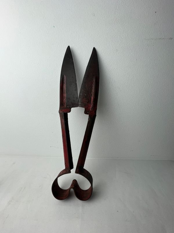 Tijera de Tusar Antigua de 31 cm