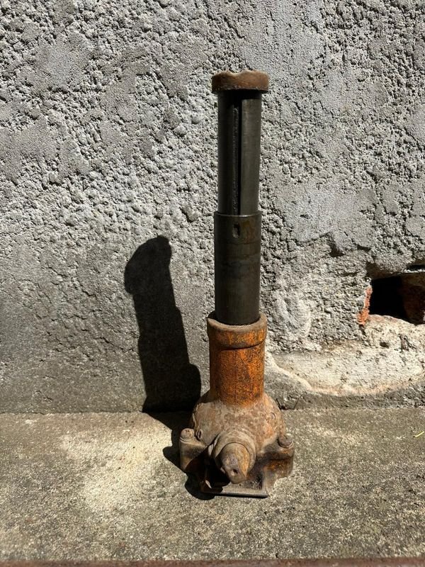 Gato tipo botella japonés en venta - imagen 4
